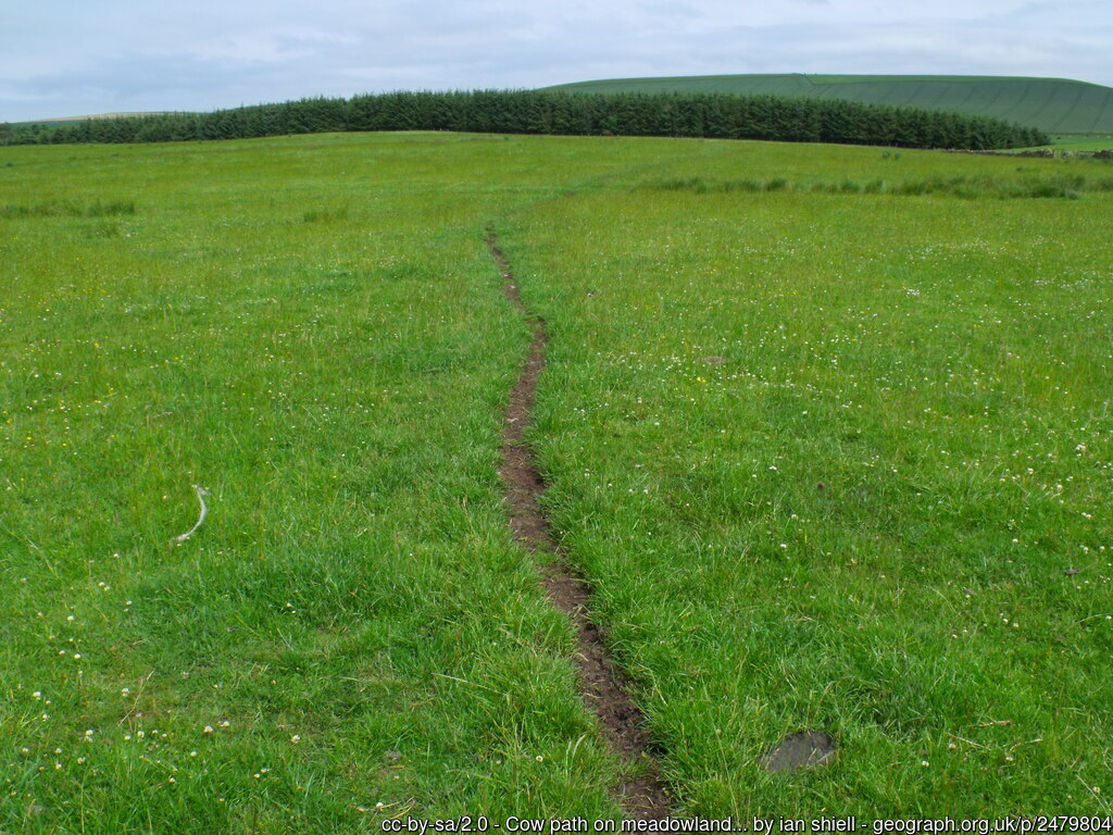 Cow path on meadowland north of Macks... © ian shiell cc-by-sa/2.0 ::  Geograph Britain and Ireland Geograph Cow path on meadowland north of Macks